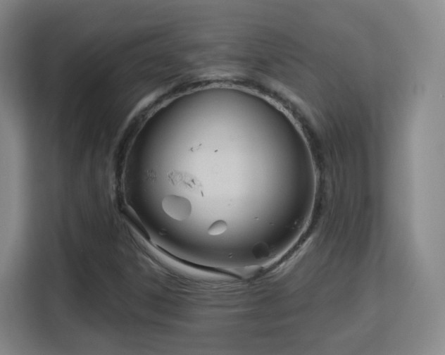 X0000113161306200909111006