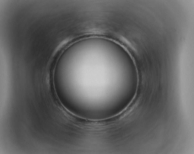 X0000113161307200909111006