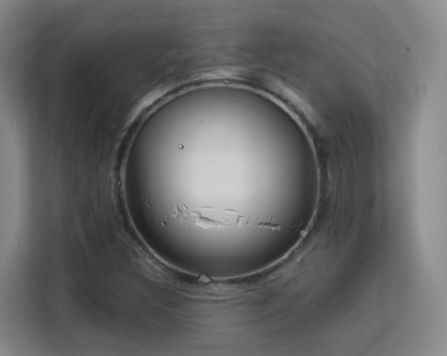 X0000113161308200909111006