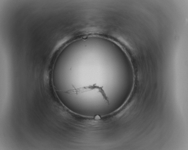 X0000113161309200909111006