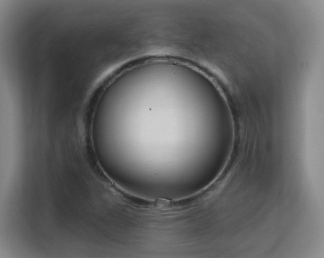 X0000113161311200909111006