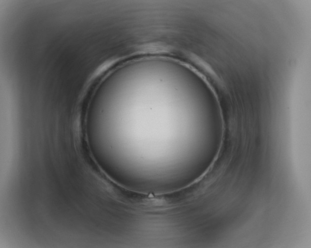 X0000113161315200909111006