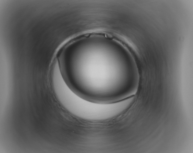 X0000113161316200909111006