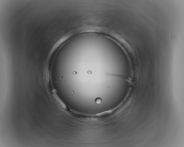 X0000113161317200909111006