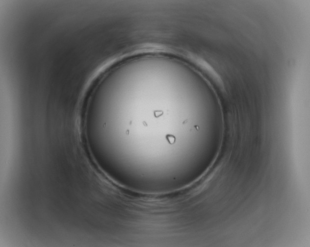 X0000113161318200909111006