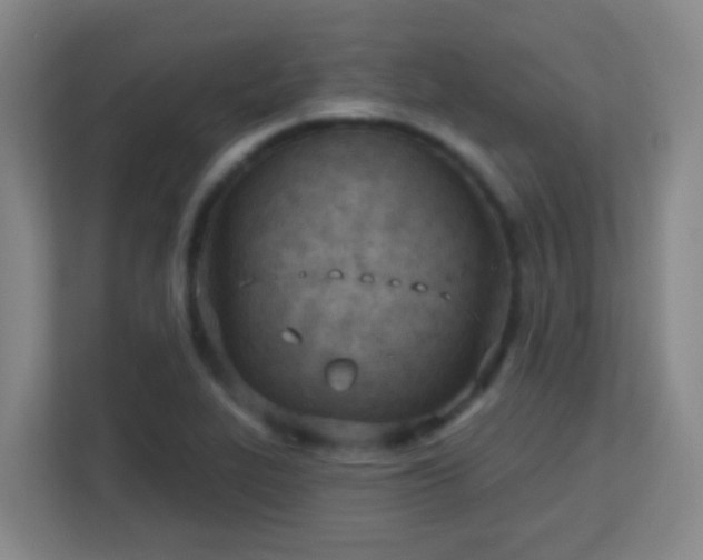 X0000113161319200909111006