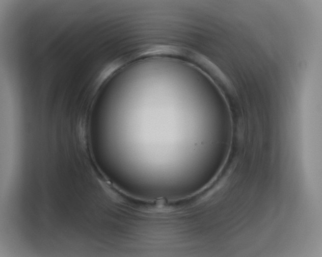 X0000113161321200909111006