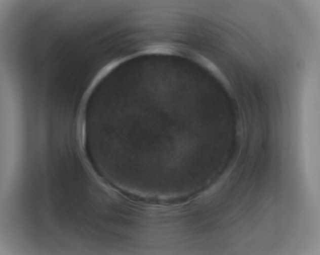 X0000113161323200909111006