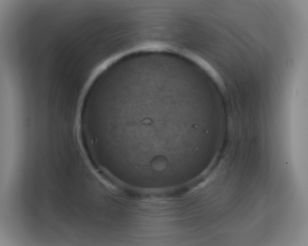 X0000113161327200909111006