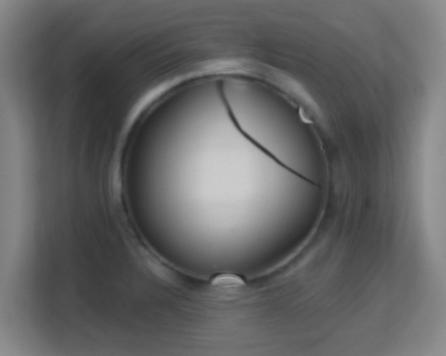 X0000113161328200909111006