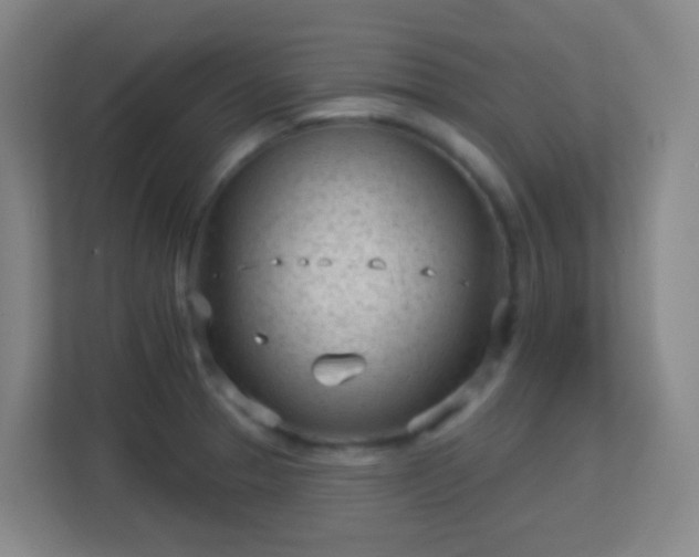 X0000113161329200909111006