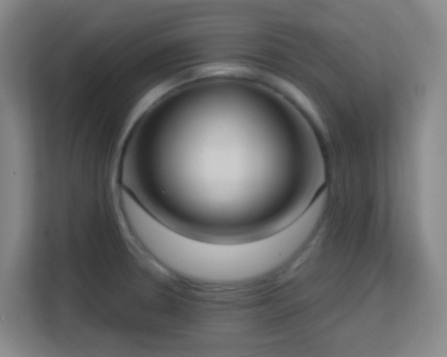 X0000113161330200909111006