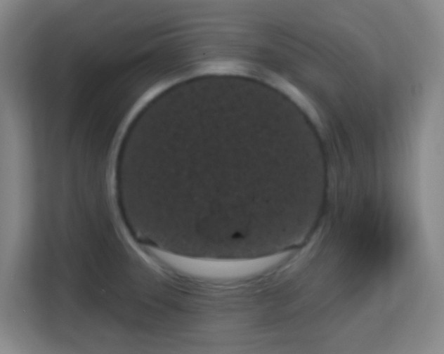 X0000113161331200909111006