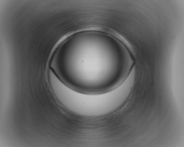 X0000113161332200909111006