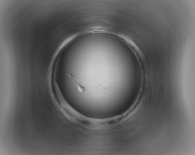 X0000113161333200909111006