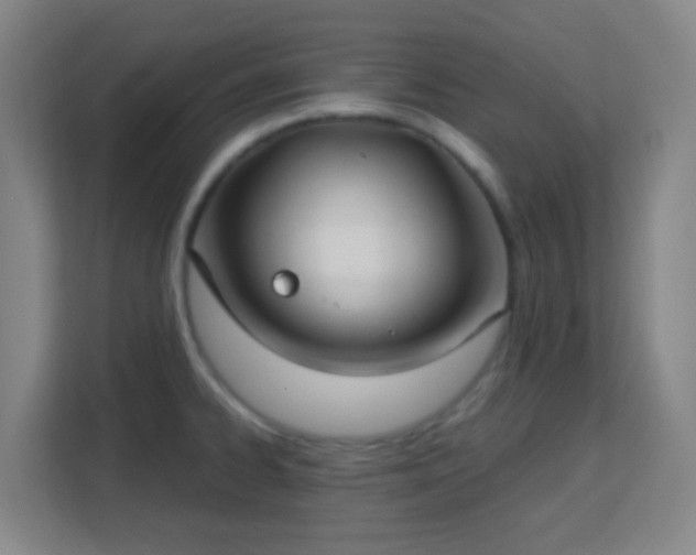 X0000113161334200909111006