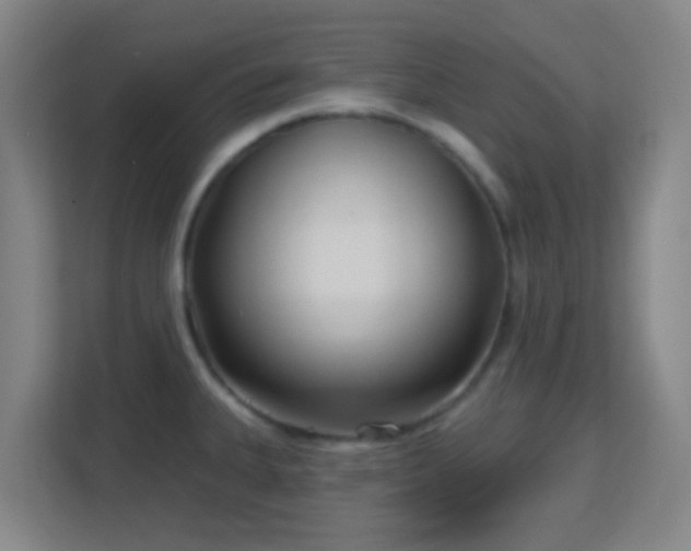 X0000113161335200909111006