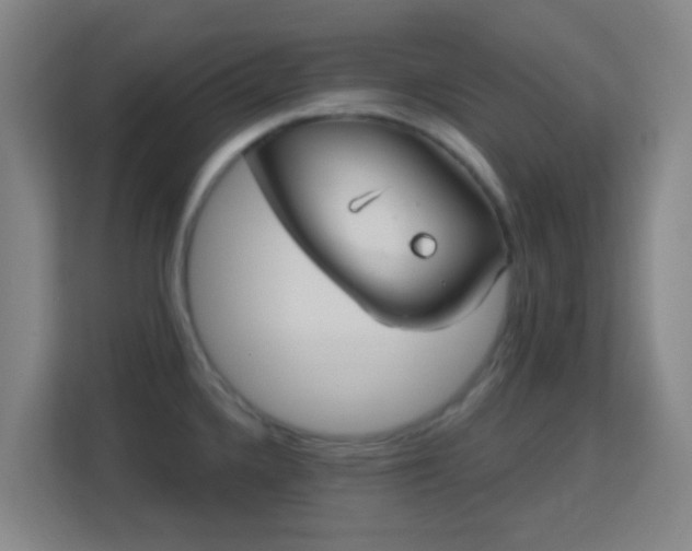 X0000113161336200909111006