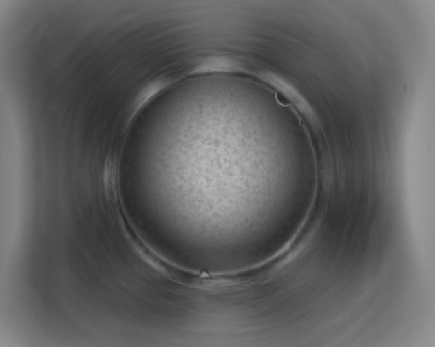 X0000113161337200909111007