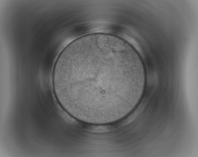 X0000113161338200909111007