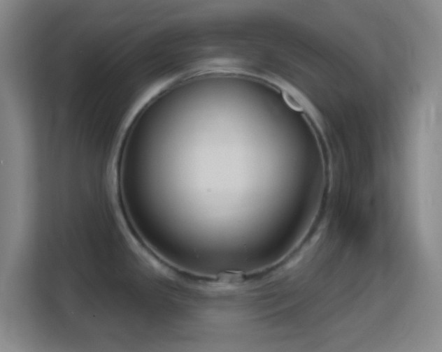 X0000113161341200909111007