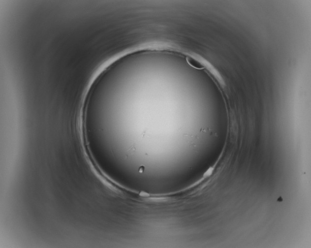 X0000113161343200909111007