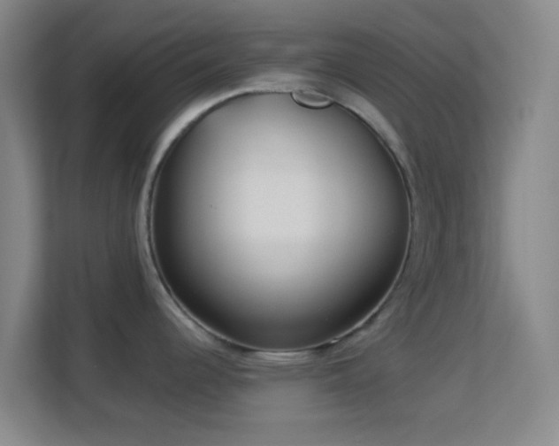 X0000113161344200909111007