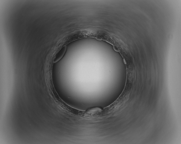 X0000113161345200909111006