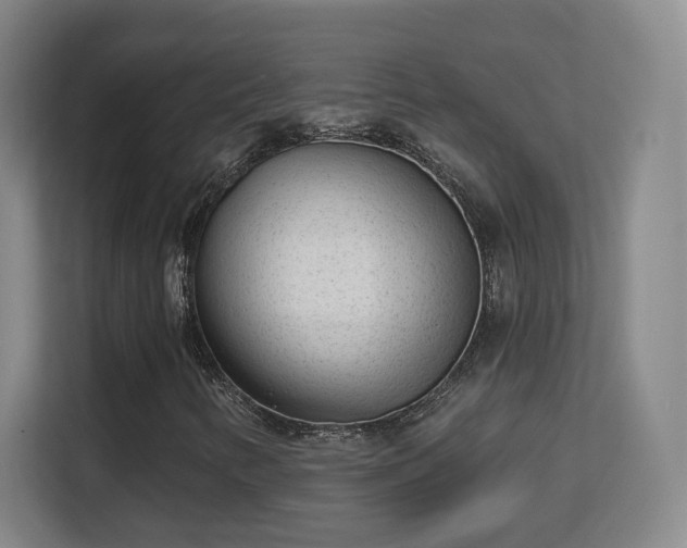 X0000113161346200909111006