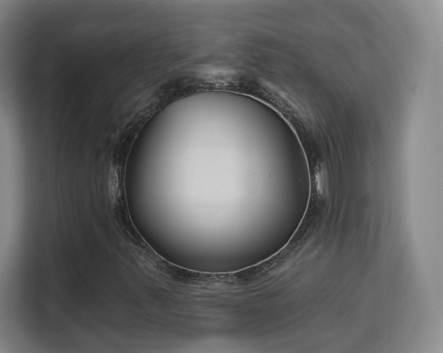 X0000113161347200909111006