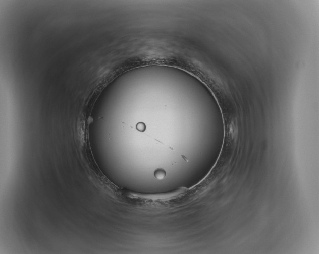 X0000113161348200909111006