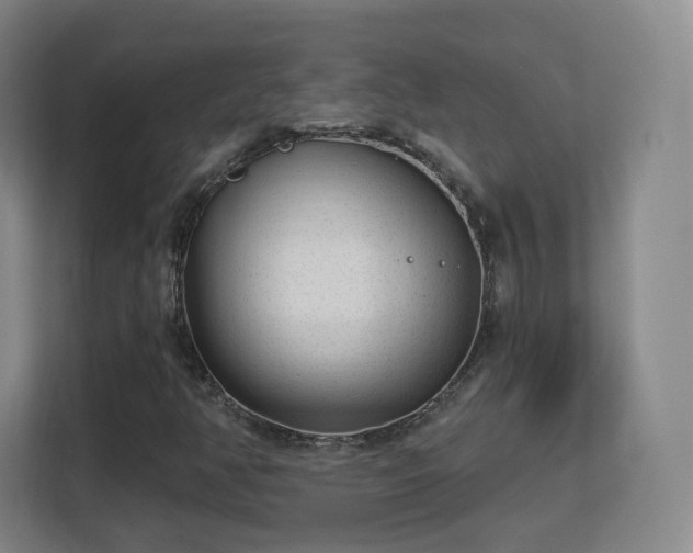 X0000113161350200909111006