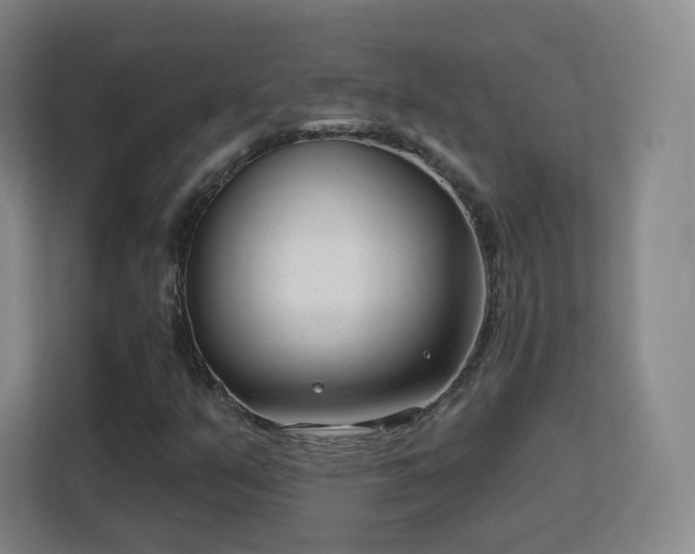 X0000113161351200909111006