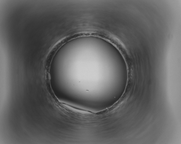 X0000113161352200909111006