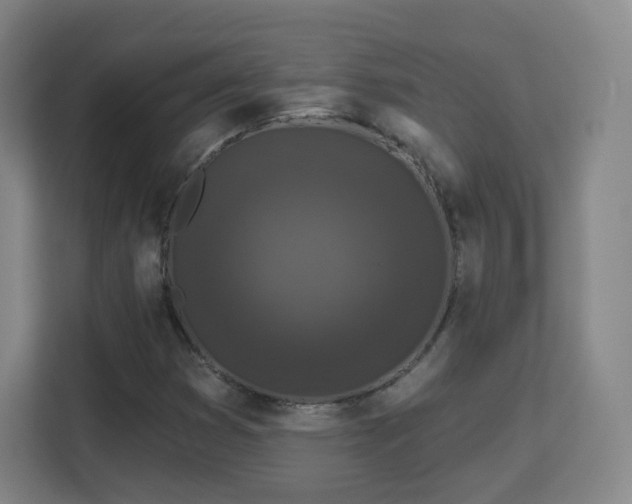 X0000113161353200909111006