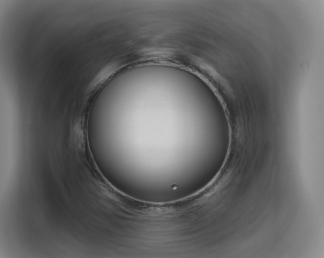 X0000113161354200909111006