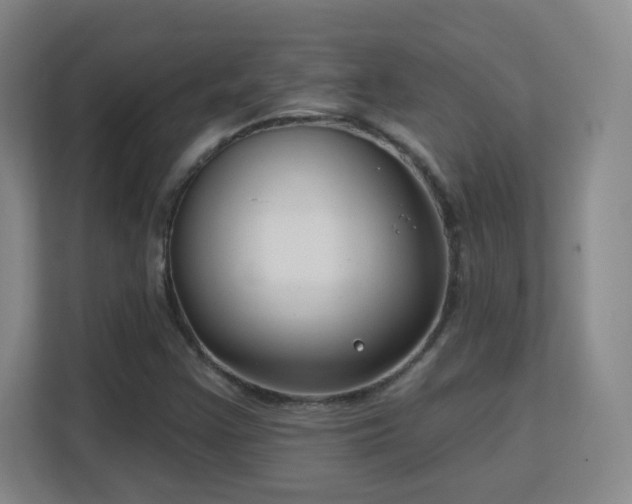 X0000113161355200909111006