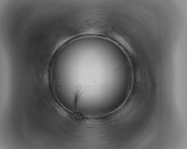 X0000113161356200909111006