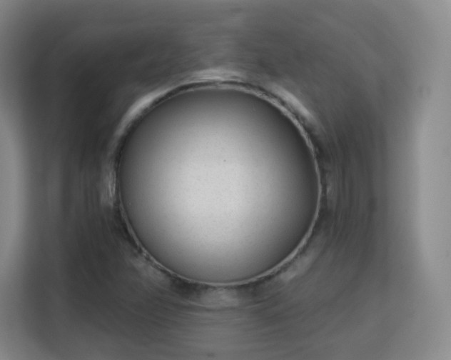 X0000113161358200909111006