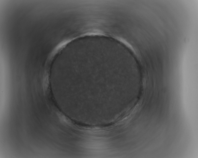 X0000113161359200909111006