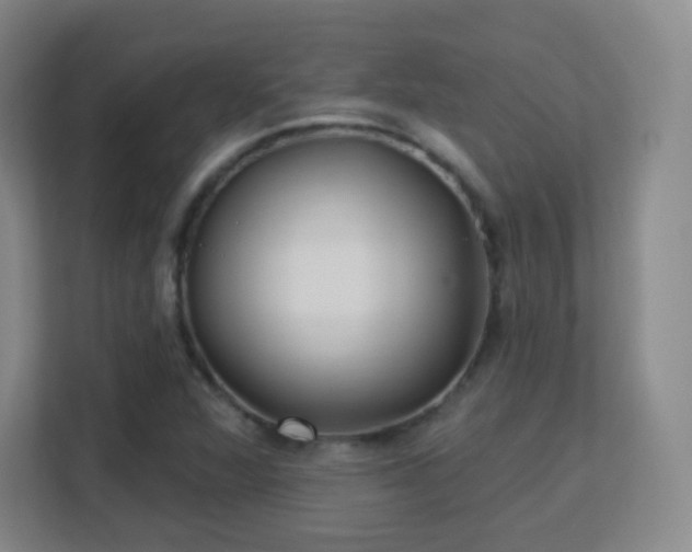 X0000113161360200909111006