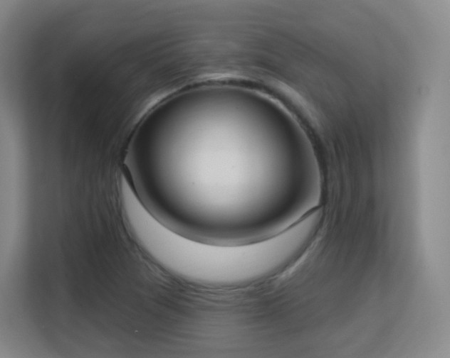 X0000113161361200909111006