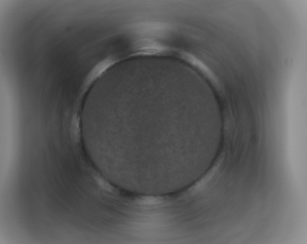 X0000113161362200909111006