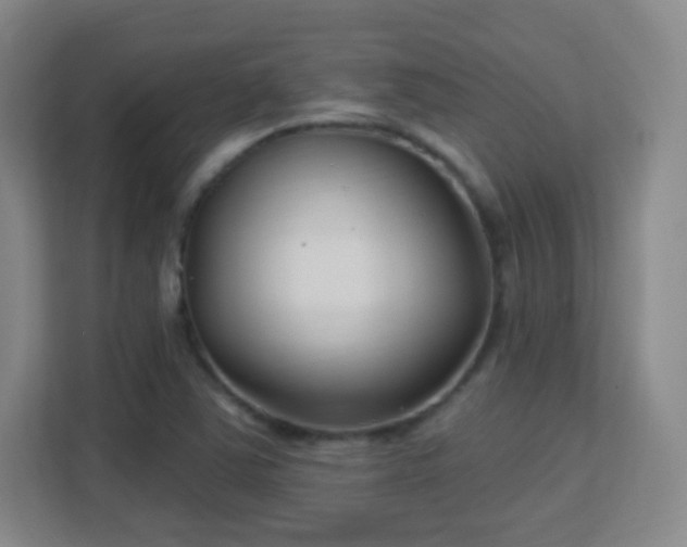 X0000113161363200909111006