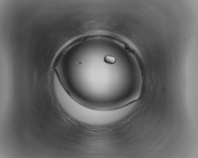 X0000113161364200909111006