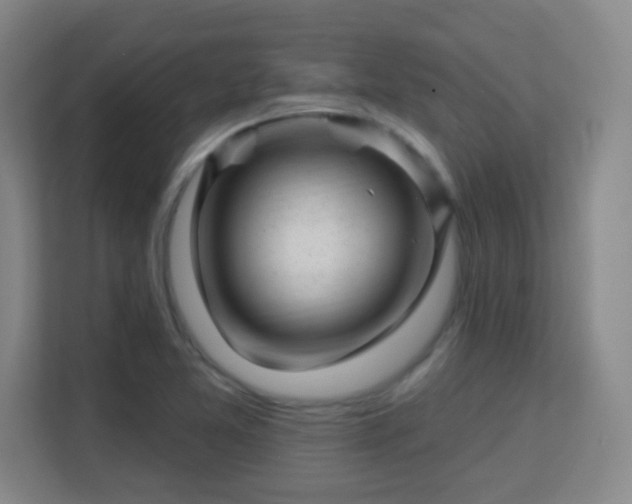 X0000113161365200909111006