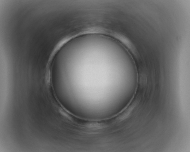 X0000113161366200909111006