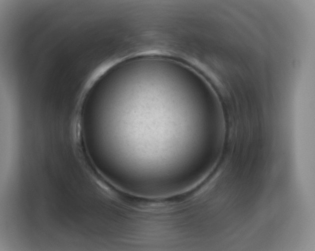 X0000113161367200909111006