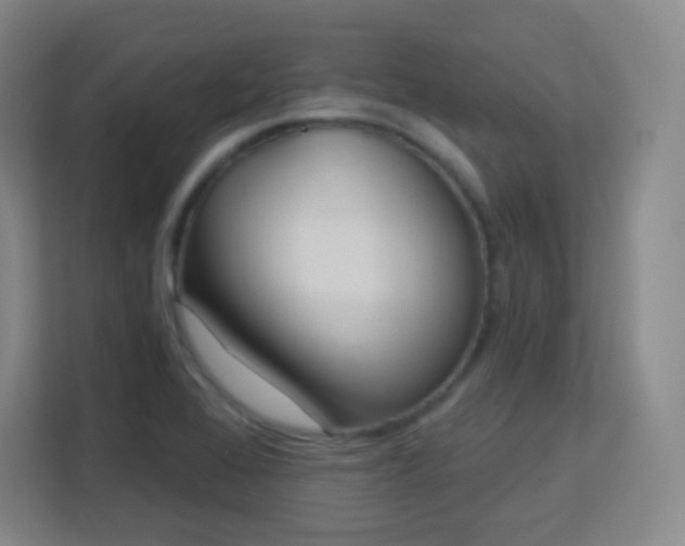 X0000113161368200909111006