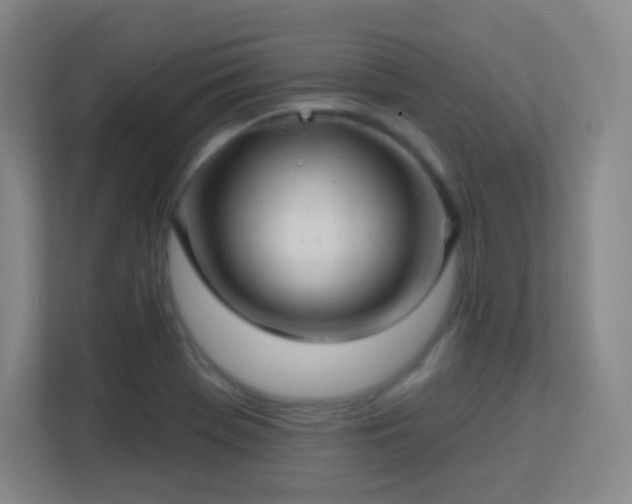 X0000113161369200909111006